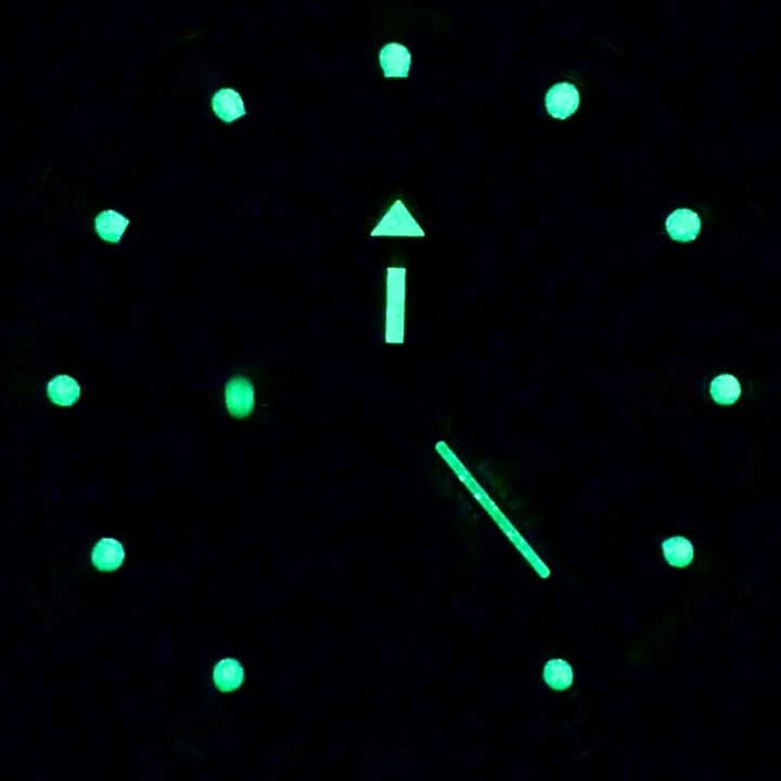 VOSTOK AMPHIBIA (060488) - 4