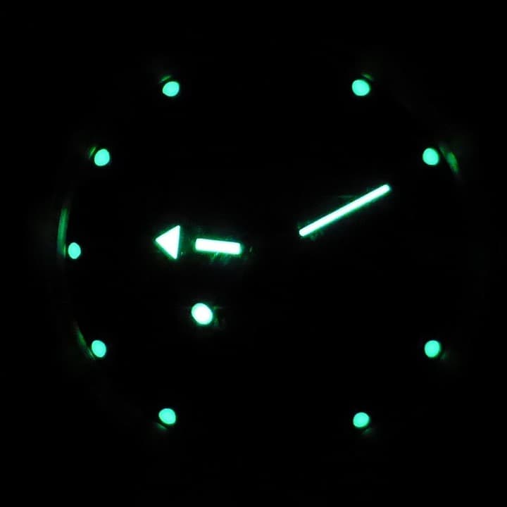 VOSTOK AMPHIBIA (120697) - 2