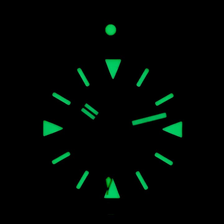 VOSTOK AMPHIBIA (420512.4 SE2) - 3