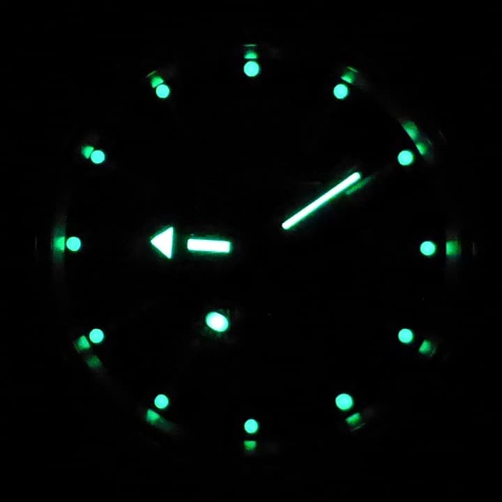 VOSTOK AMPHIBIA (090510) - 2