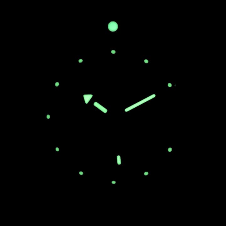 VOSTOK AMPHIBIA SCUBA DUDE (030600) - 3