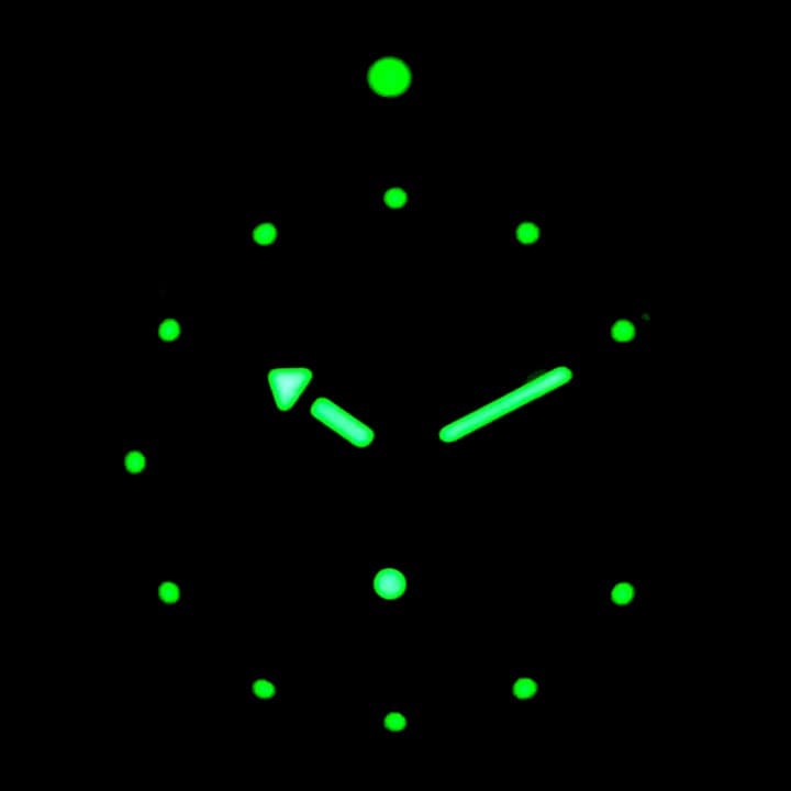 VOSTOK AMPHIBIA (100315 S3) - 3