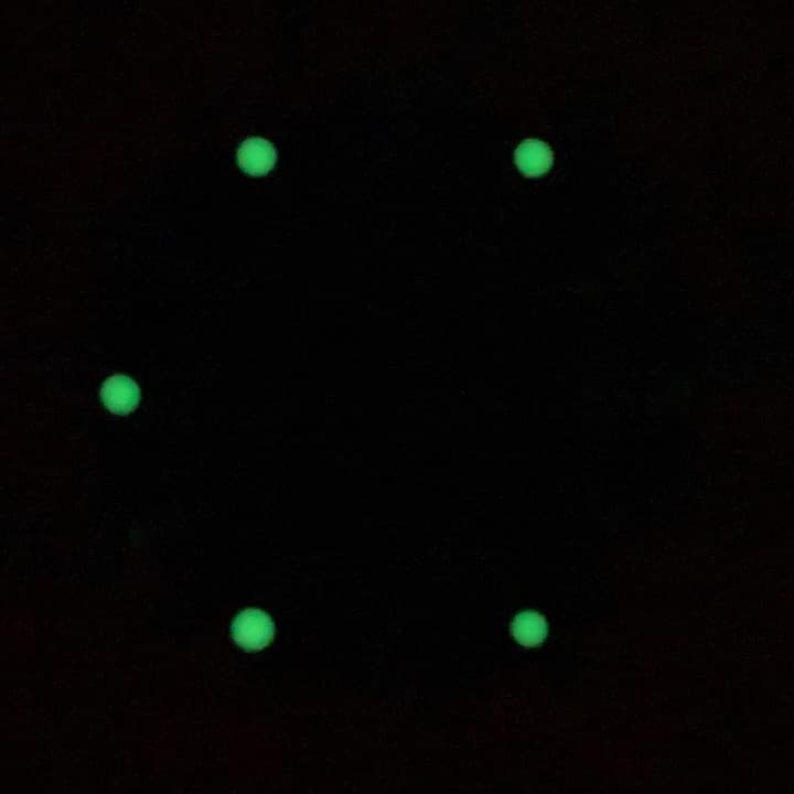 Dial 845 VOSTOK AMPHIBIA - 2