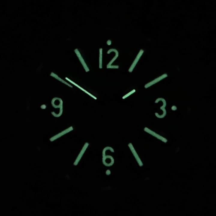 VOSTOK AMPHIBIA (72838V) - 3