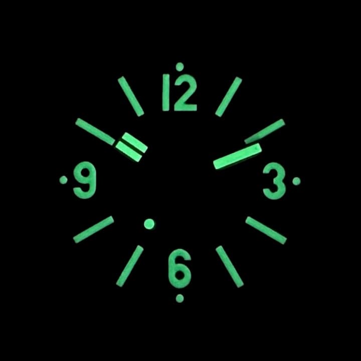 VOSTOK AMPHIBIA (61067V) - 3