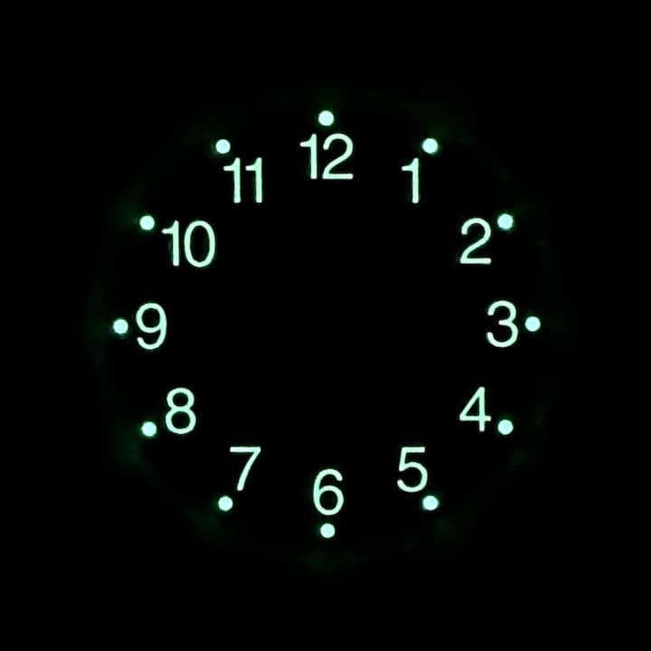 Dial 658 S VOSTOK AMPHIBIA Scuba Dude - 2