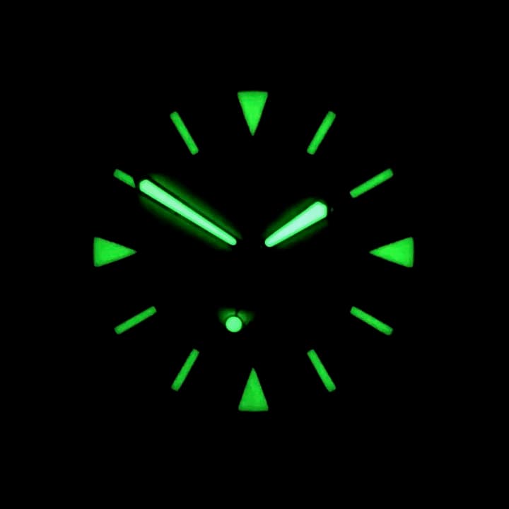 VOSTOK AMPHIBIA (780830) - 3