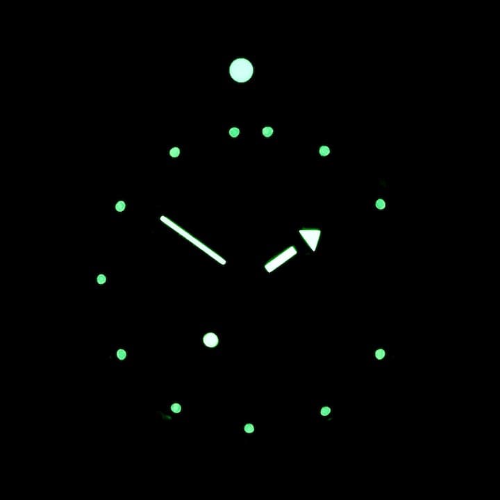 VOSTOK AMPHIBIA (420306 S3) - 3