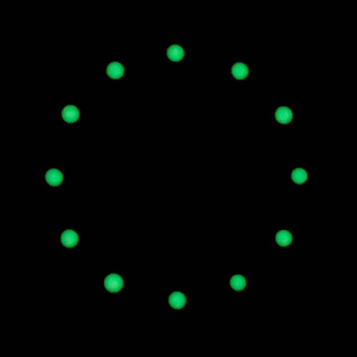 Dial 927 VOSTOK AMPHIBIA - 2