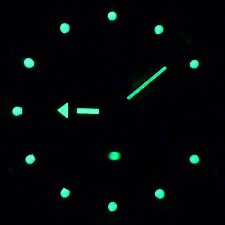 VOSTOK AMPHIBIA (060484) - 2