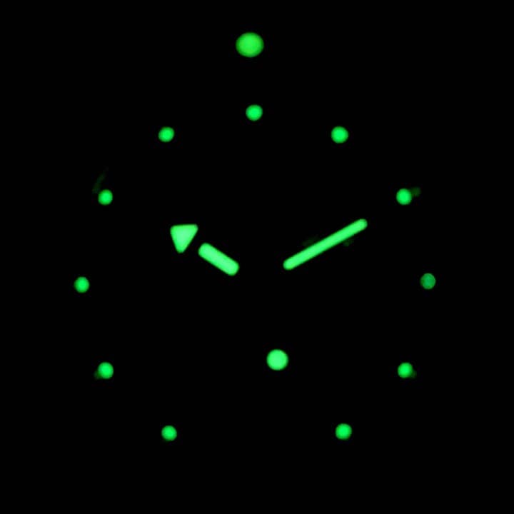 VOSTOK AMPHIBIA (710813 SE1) - 3