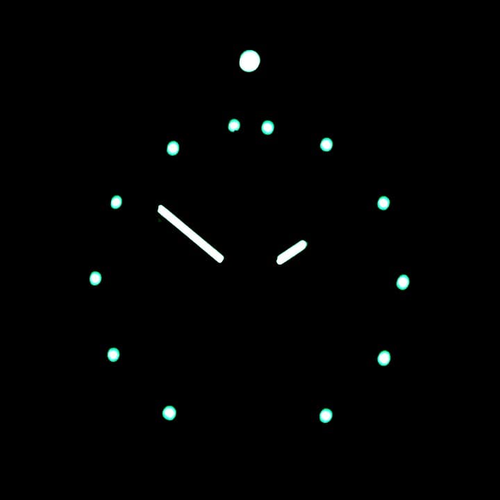 VOSTOK KOMANDIRSKIE GRENZTRUPPE (431950 S2) - 3