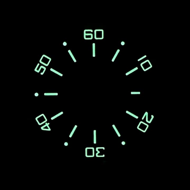 Dial 845 VOSTOK S AMPHIBIA - 2