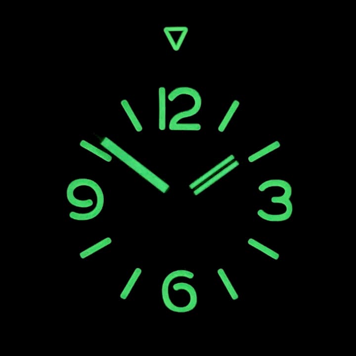 VOSTOK AMPHIBIA PAMPHIBIA (170962 S1) - 3