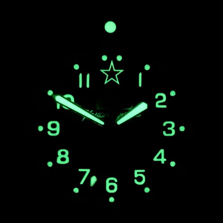 VOSTOK AMPHIBIA (420306 SE1) - 3