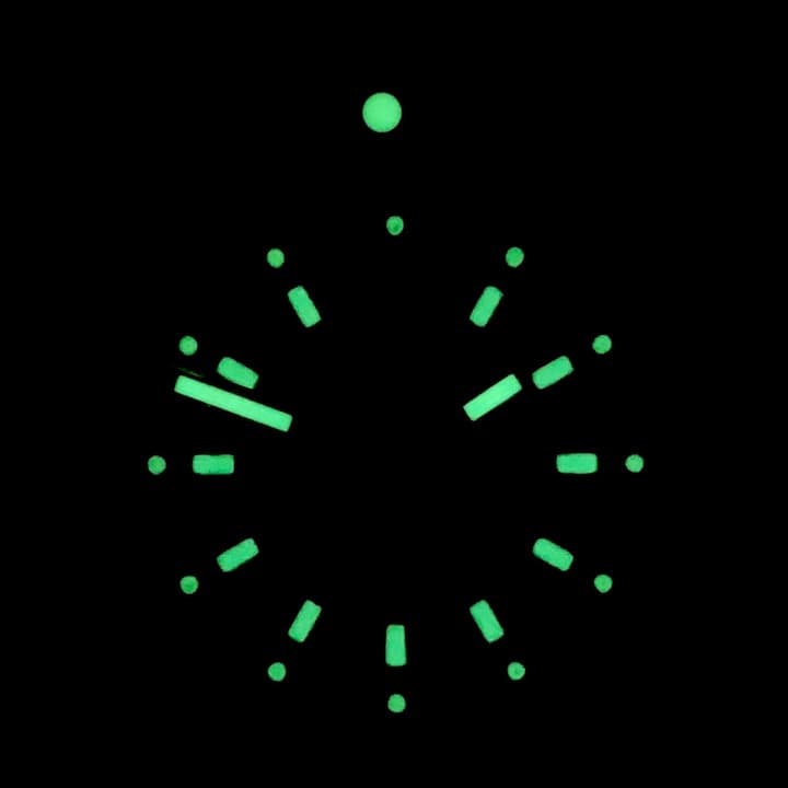 VOSTOK AMPHIBIA (170927.1 SE4) - 3