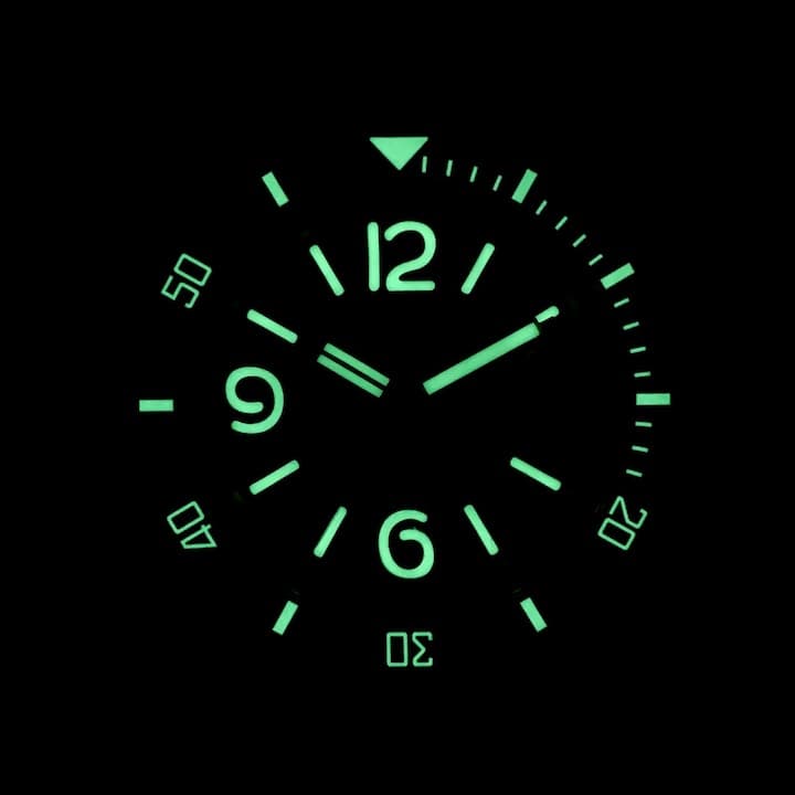 VOSTOK AMPHIBIA (710548 BBD SE1) - 3