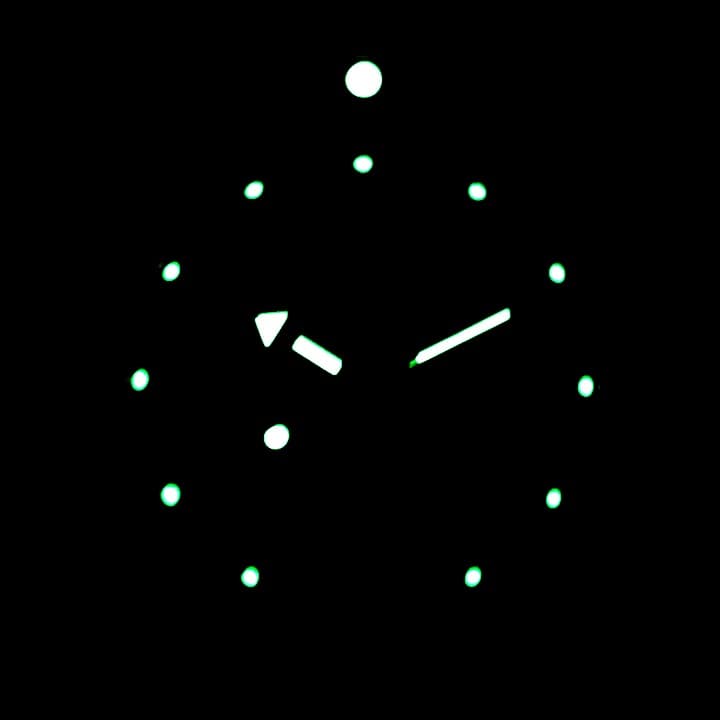 VOSTOK AMPHIBIA (120812 S3) - 3