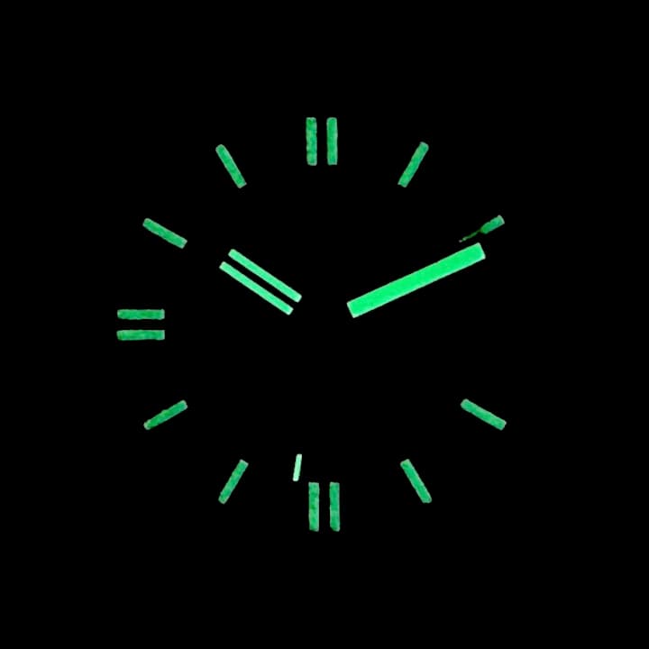 VOSTOK AMPHIBIA TOURIST (14055B) - 3