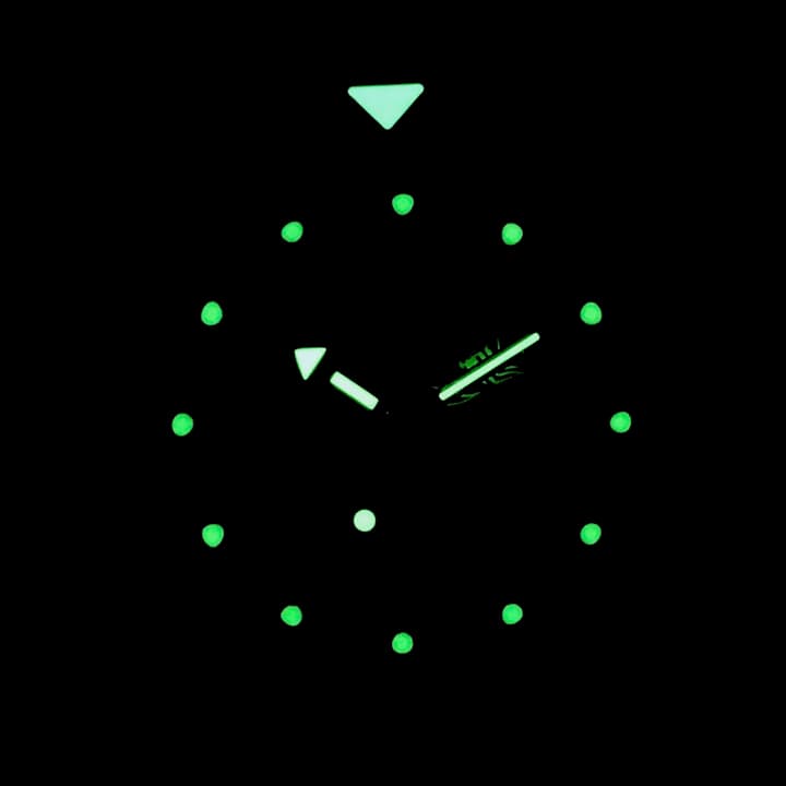 VOSTOK AMPHIBIA SCUBA DUDE (420919 S1) - 3