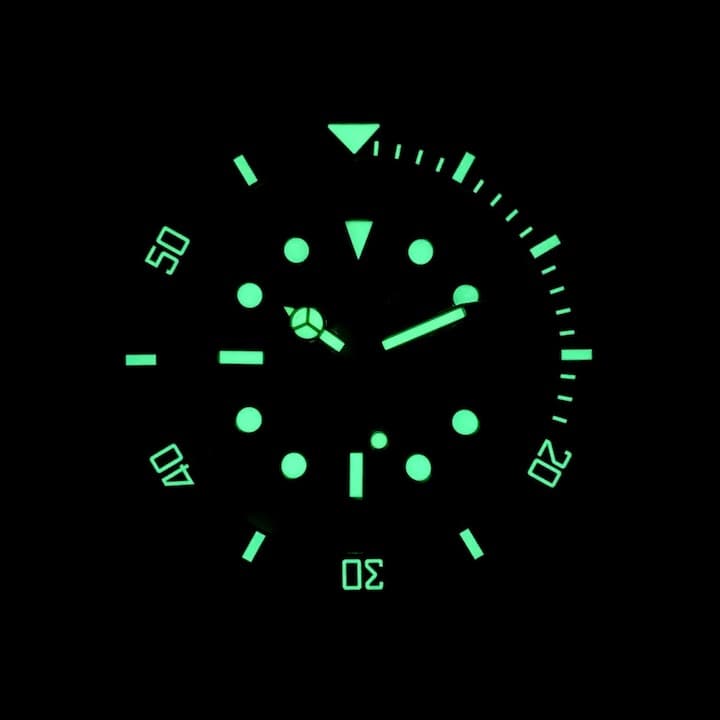 VOSTOK AMPHIBIA (030ARM SE1) - 3