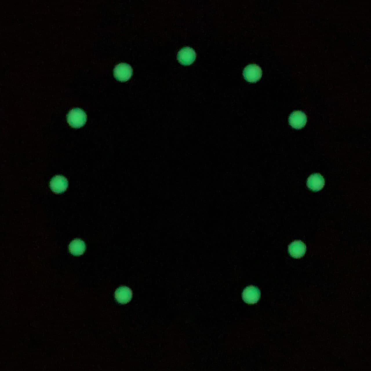 Dial 280 VOSTOK AMPHIBIA - 2