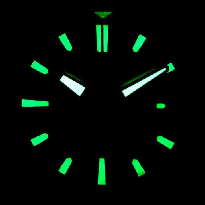 VOSTOK AMFIBIA SCUBA (076800) - 3