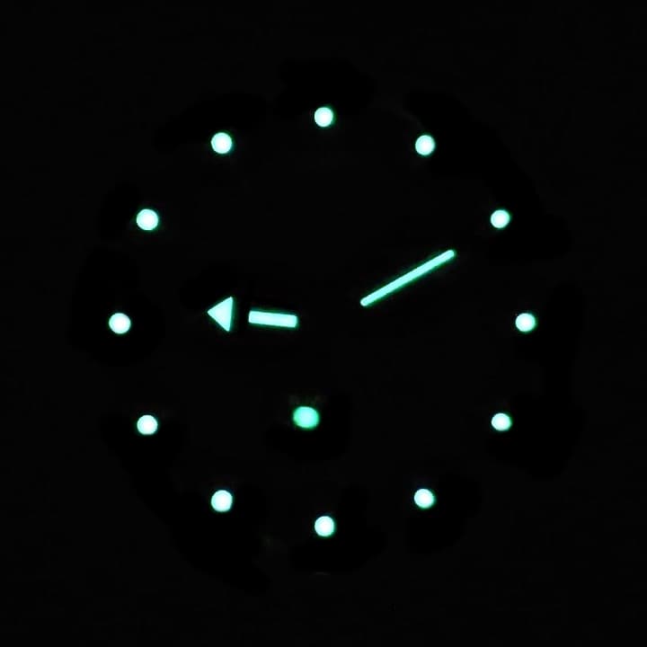 VOSTOK AMPHIBIA Radio Room (110750) - 3