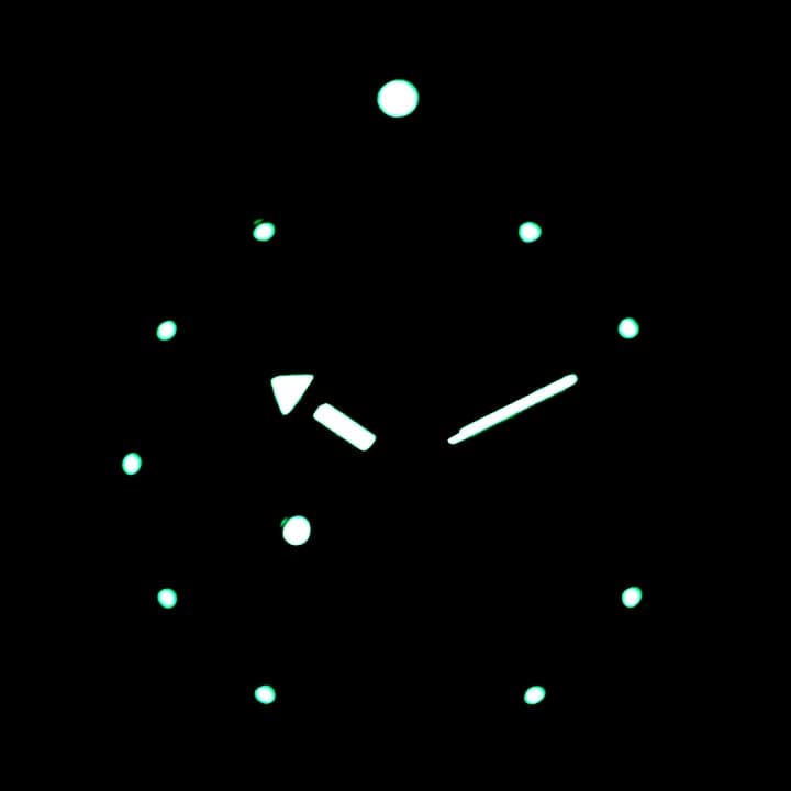 VOSTOK AMPHIBIA (120696 S1) - 3