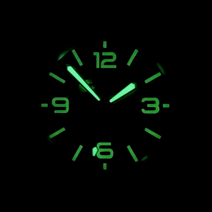 VOSTOK AMPHIBIA FIDEL CASTRO (710CAS SE1) - 2