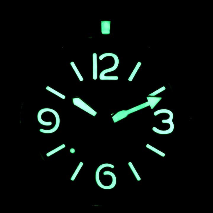 VOSTOK AMPHIBIA (710548 SE2) - 3