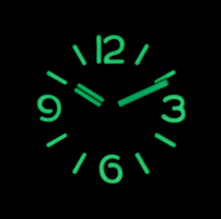 VOSTOK AMPHIBIA (710548 O SE1) - 3