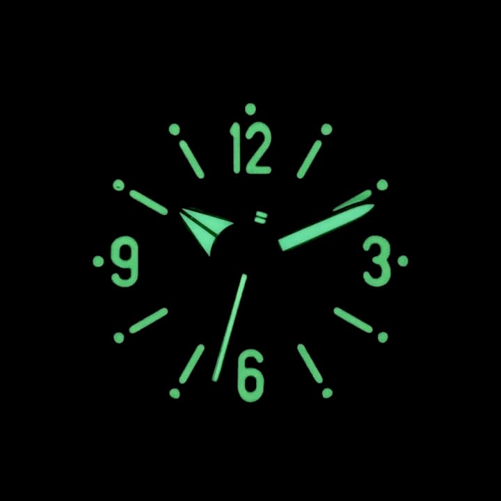 VOSTOK AMPHIBIA (170660S SE1) - 3