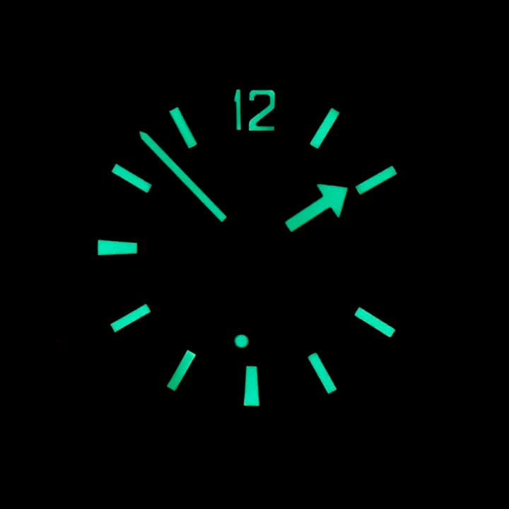 VOSTOK AMPHIBIA (740016) - 3