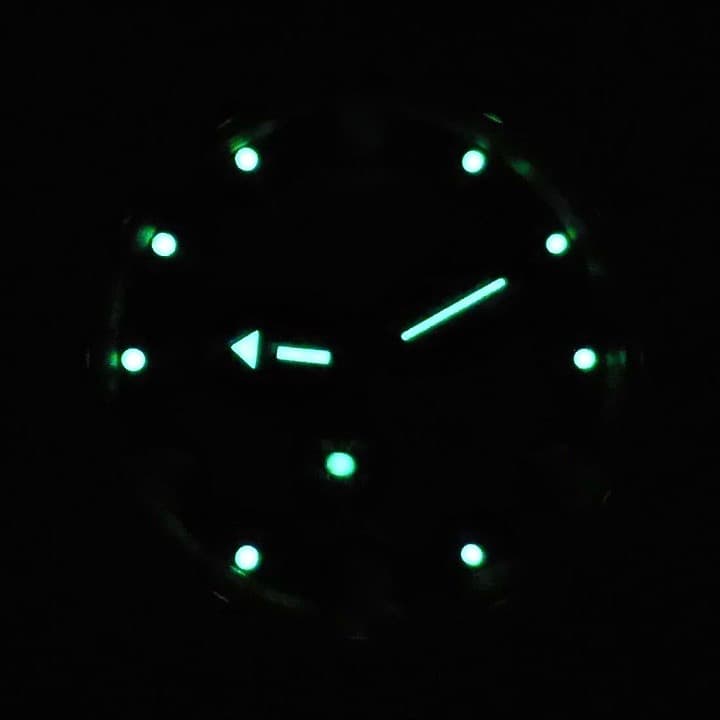 VOSTOK AMPHIBIA (160273) - 2