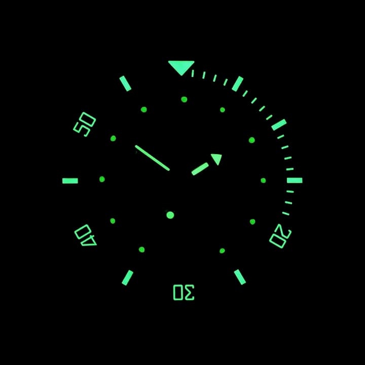 VOSTOK AMPHIBIA SCUBA DUDE (120658 S1) - 3