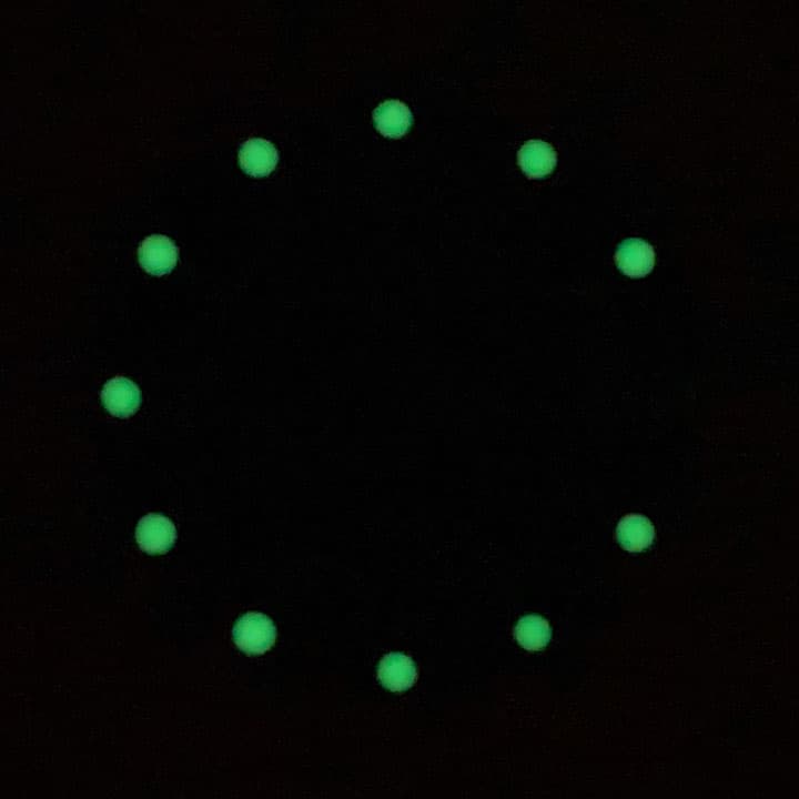 Dial 559 VOSTOK AMPHIBIA - 2