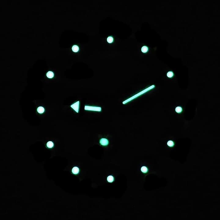 VOSTOK AMPHIBIA (670927) - 3