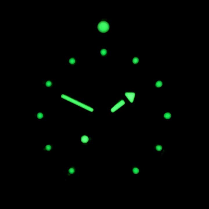 VOSTOK AMPHIBIA (420280 S1) - 3