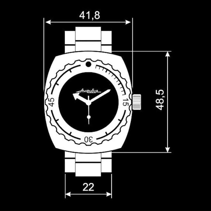 Gehäuse VOSTOK 090 poliert (090ksb / 3) - 4
