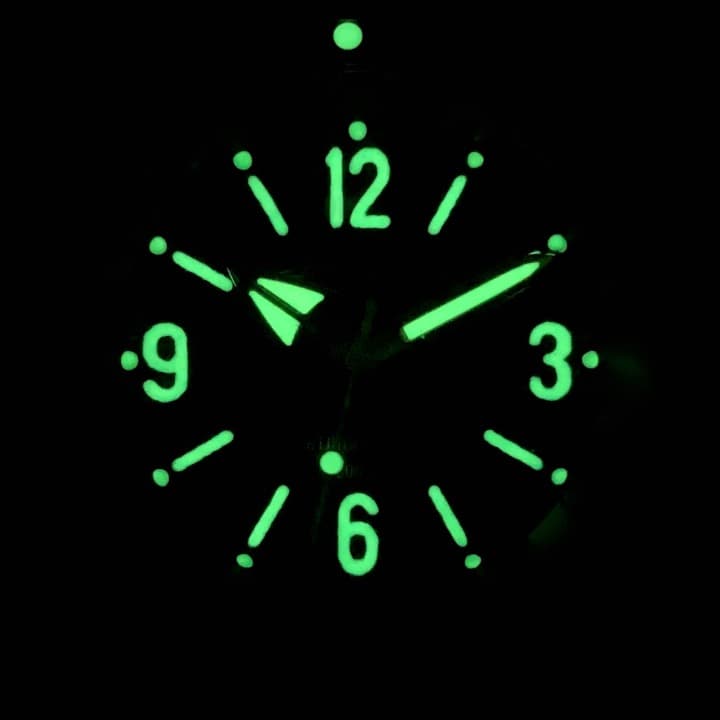 VOSTOK AMPHIBIA (120913 SE2) - 3