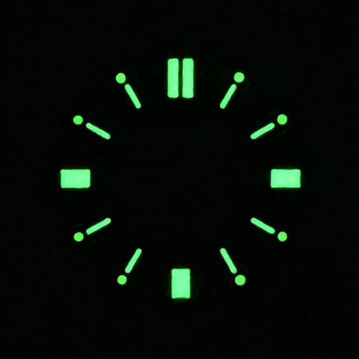 Dial 916 L VOSTOK AMPHIBIA - 2