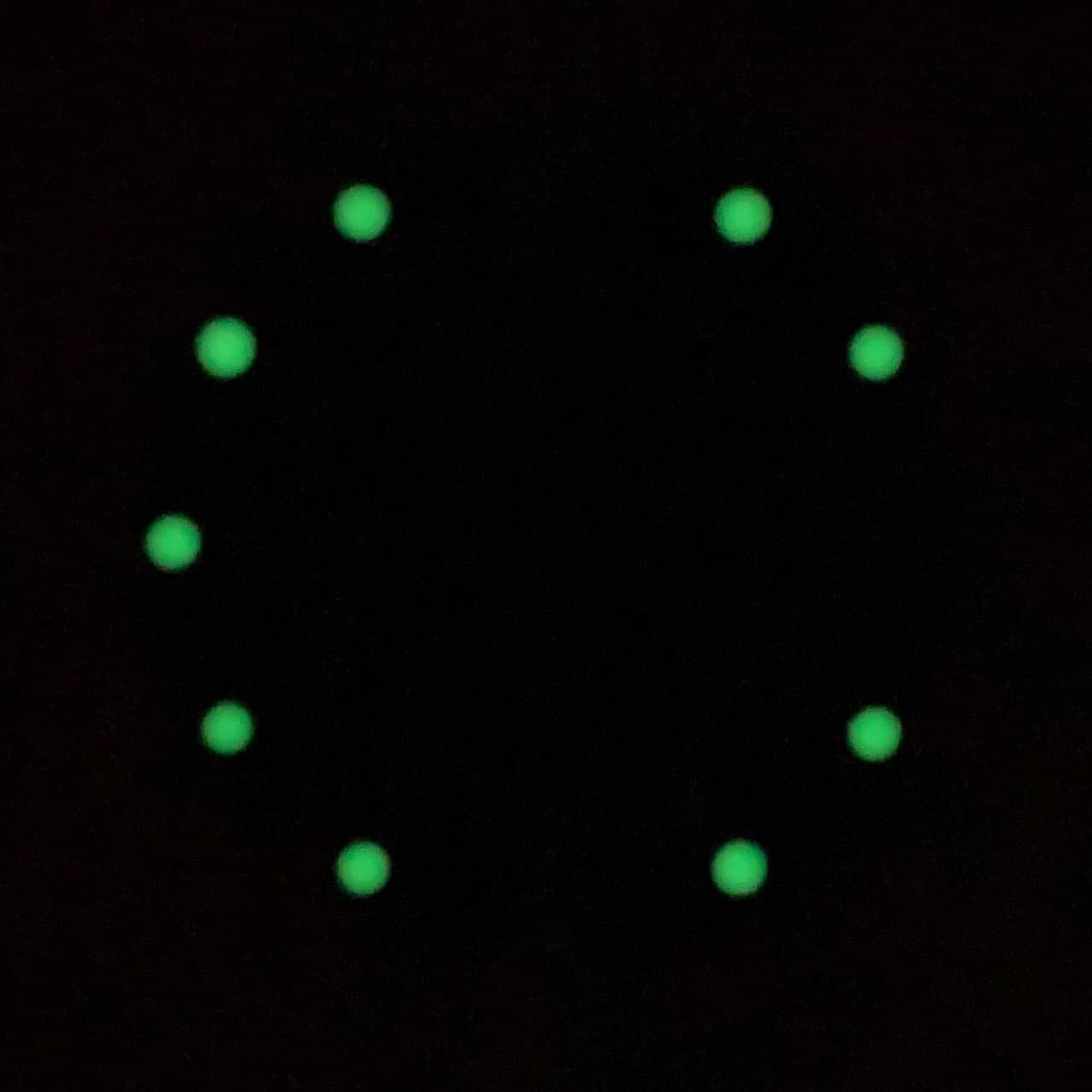 Dial 696 VOSTOK AMPHIBIA - 2