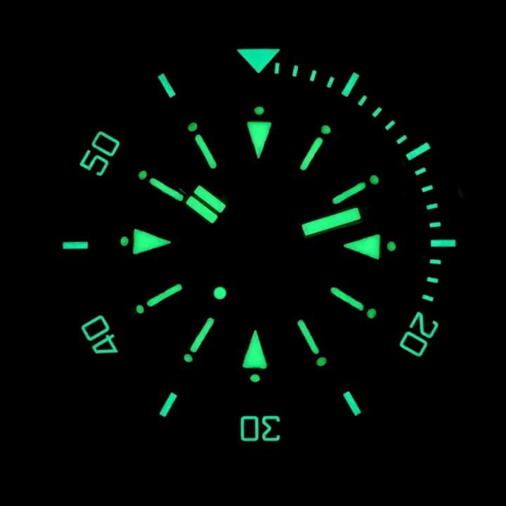 VOSTOK AMPHIBIA (120512 S5) - 3