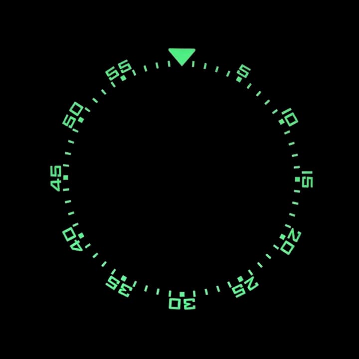 Lünette Keramik VOSTOK AMPHIBIA KOMANDIRSKIE mit Feder (LU-INS-25) - 3