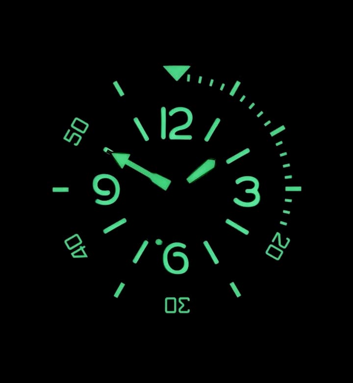 VOSTOK AMPHIBIA (710548 SE1) - 3