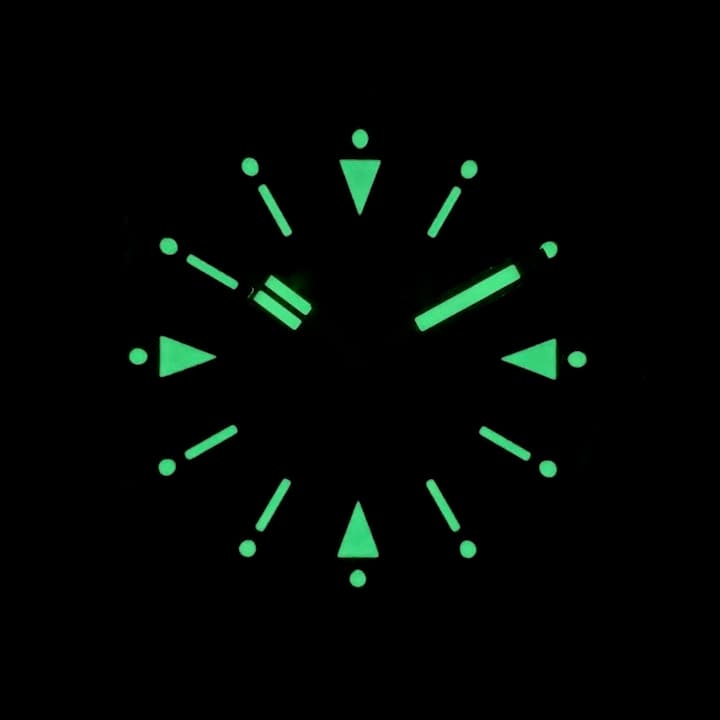 VOSTOK AMPHIBIA (170512.4 SE1) - 3