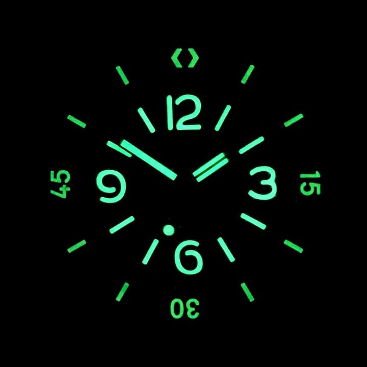 VOSTOK AMPHIBIA (179548 SE1) - 3