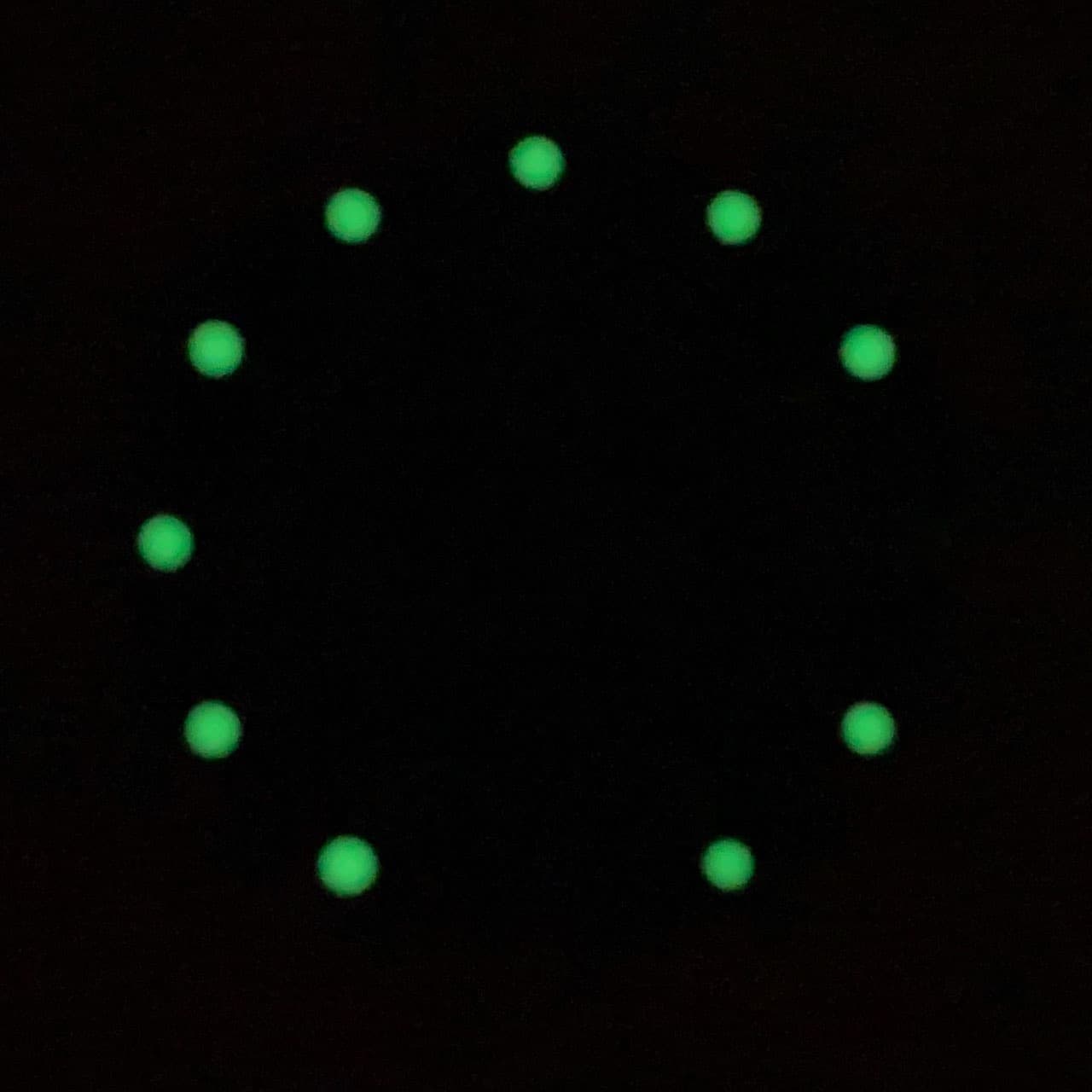 Dial 381 VOSTOK AMPHIBIA - 2